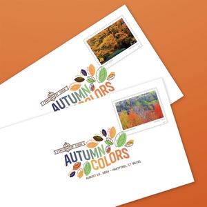 <span class=keywords><strong>Timbres</strong></span>-poste américains, <span class=keywords><strong>timbres</strong></span>-poste permanents en vrac/en feuilles/en livrets, <span class=keywords><strong>timbres</strong></span>-poste floraux Forever, 100 pièces de divers pays, collection Love - Product Image 5