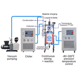 เครื่องปฏิกรณ์แก้ว TOPTION ขนาด 1 ลิตร-50 ลิตร โครงสร้างสแตนเลสสองชั้น 220V มอเตอร์อัตโนมัติ สำหรับใช้ในห้องปฏิบัติการ - Product Image 3