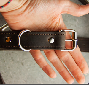 Leather Dog <b>Collar</b> and Leash Set High Quality Green Leather Hound Dog <b>Collar</b> for Greyhound and Whippet - Product Image 3