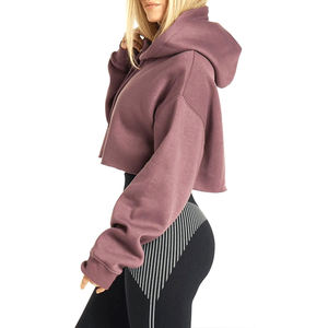 Jersey de manga larga de algodón con logotipo personalizado de alta calidad, Top corto más vendido, nueva moda para mujer, sudaderas con capucha - Product Image 2