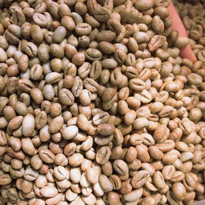 Café Robusta torréfié de spécialité du Vietnam, taille 16, 100% naturel, qualité G1/G2, certifié ISO 22000, export direct d'usine TNFOOD - Product Image 1