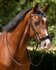 Brida de caballo de alta calidad Brida de cuero de caballo de la mejor calidad Precio más bajo Brida de cuero de caballo - Product Image 2