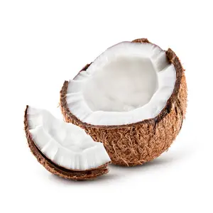 Kokosöl rein und natürlich für Lebensmittel Kosmetik und Pharma qualität einwandfreie Qualität zu den besten Preisen