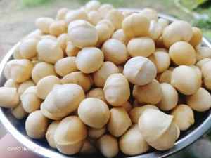 Noix de macadamia de haute qualité du Vietnam au prix le plus bas récemment Mary - Product Image 6