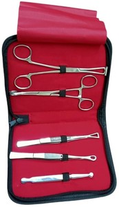 Oferta caliente: Alicates manuales de acero inoxidable para perforaciones corporales, 5 piezas, para tatuajes tradicionales, oreja, labio, ombligo, nariz, lengua, septum - Product Image 2