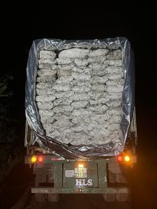 CHARBON DE BOIS DE KAYA 100% BOIS DUR POUR BARBECUE RESTAURANT GRILLING - BIWOOD COMPANY -+84 911 379 511 - Product Image 5