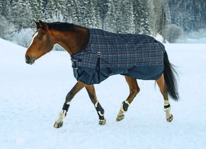 저렴한 도매 비용으로 겨울 보호를위한 방수 100% 폴리에스터 원단이있는 새로운 도착 사용자 정의 말 깔개 - Product Image 5