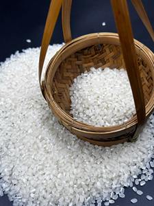 Riz blanc bio #1 Koshihikari de qualité supérieure à grain court rond style japonica séché - Product Image 4