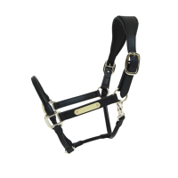 Équipement équestre de qualité supérieure, laisse de cheval en cuir italien avec plaque de nom personnalisée, surpiqûres fantaisie, fournisseur indien
