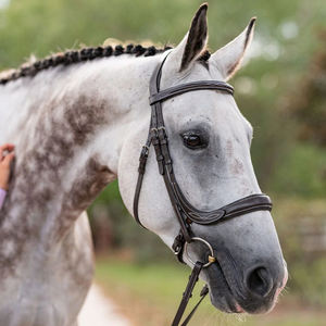 Brida de cuero de alta calidad con diseño ergonómico y costuras elegantes, nueva tendencia, de buen proveedor, con narigueña acolchada y ajuste regulable para entrenamiento. - Product Image 1