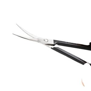 Tijeras para Cutículas de Acero Inoxidable Curvas Profesionales de Alta Calidad y Durabilidad para Manicura y Arte de Uñas, Pakistán - Product Image 3