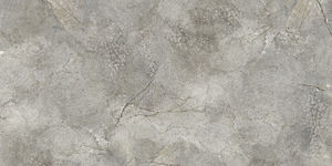 Carreaux de porcelaine imprimés numériquement, designs personnalisés, couleurs vives, 600X1200mm, fabrication en Inde pour la salle à manger. - Product Image 4