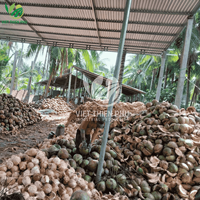 Hoge Kwaliteit Verse Halfgepelde Kokosnoot Rechtstreeks Uit Vietnam Fruit Directe Levering