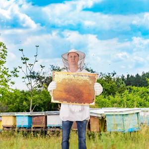 Chaqueta de apicultura de poliéster impermeable de talla grande traje de apiario protector a prueba de picaduras ropa duradera traje de cosecha de miel - Product Image 3