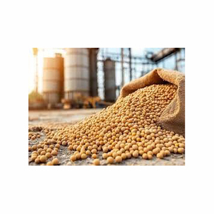 Harina de pescado de la mejor calidad para alimentación animal Aves de Corral CAN/BOX/BAG Empaquetado Alternativa fresca a la harina de soja y la harina de maíz - Product Image 3