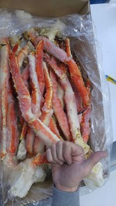 Premium Frozen King Crab Legs Snow Crabs Roe Variedad Mud Crab En stock Compre ahora Entrega rápida - Product Image 3