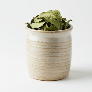 Feuilles de corossol de qualité supérieure du Vietnam Meilleur prix Produit agricole - Product Image 1