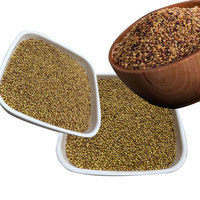 Semillas de trébol Barseem | Excelente Cultivo de forraje para lácteos y ganado