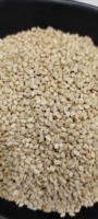 Graines de sésame blanc naturel d'Inde, qualité supérieure, sac PE/PP 50 kg, marque Eco Export, fabriqué en Inde, 5 % d'humidité, 24 mois pour l'huile