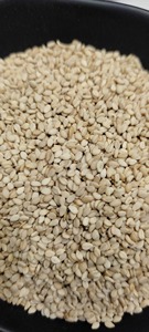 งาขาวคุณภาพสูงเมล็ดงาอินเดีย - Product Image 5