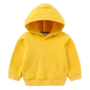 Fournisseur de vêtements en gros, sweat à capuche en tissu éponge français, sweat à capuche pour enfants en coton biologique, sweat à capuche brodé sur mesure - Product Image 1