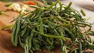 EAU NATURELLE CONGELÉE SOURCE À BASE DE PLANTES MIMOSA POUR LA DÉTOX DES FIBRES ET UNE VIE SAINE - Product Image 3