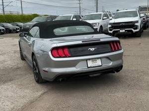 Mustang EcoBoost Premium Convertible RWD LHD 2021 Usado en Buen Estado - Product Image 5