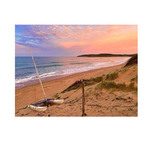 Grosses grumes de hêtre à prix compétitif pour projets résidentiels et commerciaux disponibles en grandes quantités - Product Image 6