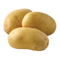 (Solanum Tuberosum) Verse Ierse lange aardappelen - Merk Export Groothandel tegen beste prijs 12 maanden houdbaarheid Te koop