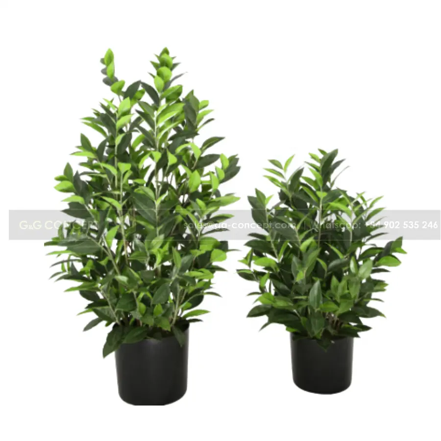 Home Decor Kunstmatige Plant Met Pot Indoor Outdoor Nieuwe Morden Natuurlijke Groene Plant Hot Koop Kopen Aan Goedkope Prijs In bulk