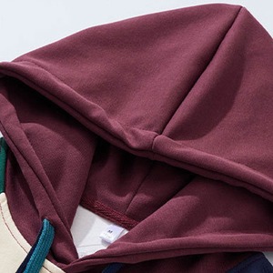 Logo personnalisé 500 g/m² 100% coton sweat à capuche pour homme brodé en éponge française pull Streetwear uni en éponge française vierge - Product Image 3