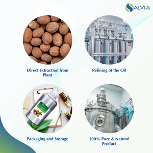 Vente en gros en vrac Huile essentielle de muscade 100% pure et naturelle Emballage personnalisé à bas prix - Product Image 4