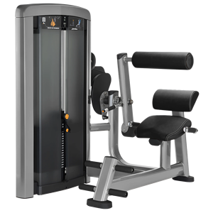Sistema de Gimnasio en Casa Remanufacturado, Máquina de Extensión Lumbar Serie Insignia para Entrenamiento de Fuerza - Product Image 3