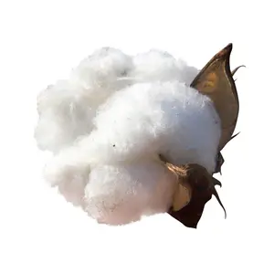 优质松散棉浆纤维素原料任何等级棉绒浆