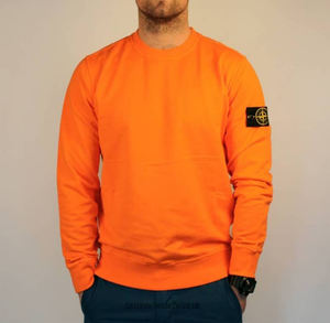 Personnalisable Hommes 100% Coton Polaire Sweat-shirt Couleur Unie Casual Manches Longues Hiver Plain Dyed Hoodies de Crop Length - Product Image 2