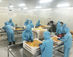 Fruta seca de mango lista para exportar y usar embalaje personalizado de Vietnam - Product Image 2