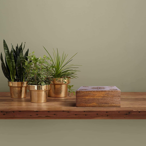 Caja de Almacenamiento de Madera Hecha a Mano con Diseño Floral Tallado para Joyas como Anillos, Aretes, Pulseras y Collares. - Product Image 3