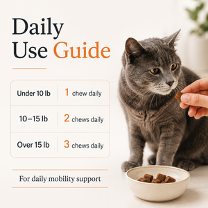 Masticables <span class=keywords><strong>Extra</strong></span> Fuertes para Cadera y Articulaciones de Gatos con MSM, Condroitina y Glucosamina, Soporte para la Movilidad Felina, Bocaditos Suaves, Frasco de 60 Unidades - Product Image 2