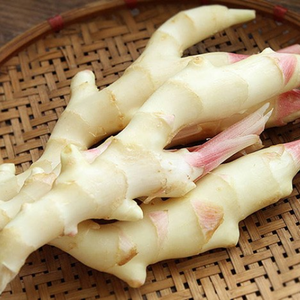 JENGIBRE FRESCO SECO A GRANEL DE BUENA CALIDAD PRECIO DE MERCADO POR TONELADA AL POR MAYOR DE VIETNAM - Product Image 3