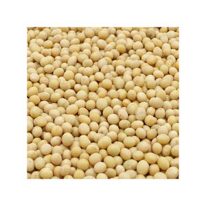High Quality Organic <b>Soybeans</b> Non-GMO Crop Dried Style Bulk Wholesome Supply - Product Image 2
