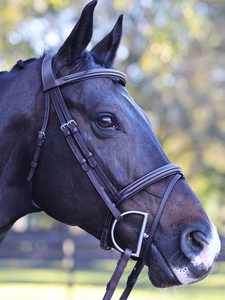 Bride de muserolle française classique vente en gros professionnelle équine licou tack équitation tête équipement équestre bride de cheval - Product Image 2
