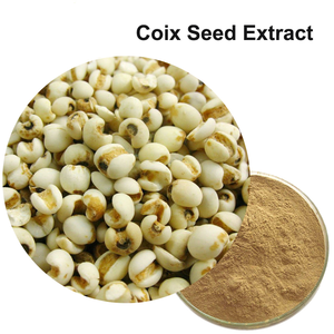 Sıcak satış yüksek kalite Coix tohum özü tozu 4:1-20:1 Semen Semen <span class=keywords><strong>Extract</strong></span> özü - Product Image 2