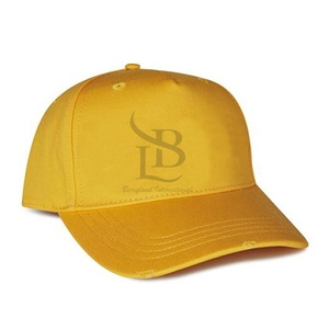 Casquette de baseball personnalisée, sports de plein air décontractés, dos nu, doublure vierge douce et brillante, casquettes de baseball de couleur unie pour hommes, nouvel arrivage - Product Image 1