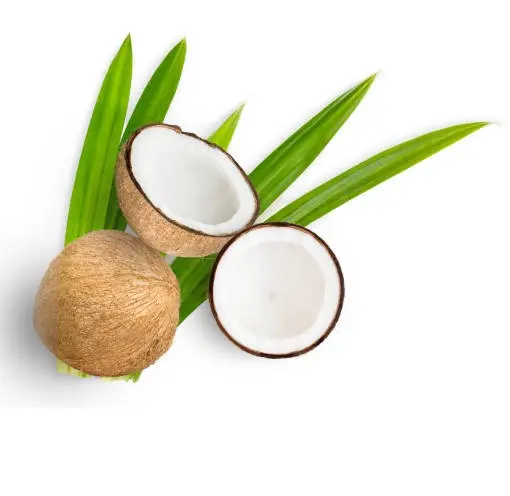Grün/Kokosnuss mit süßem Wasser aus Thailand