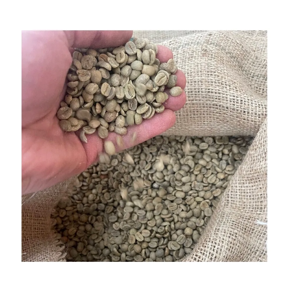 100% natürliche Robusta-Kaffeebohnen aus Vietnam Hersteller von grünen Kaffeebohnen Verpackung 60kg/Jute