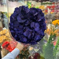 Konservierte Hortensien, getrocknete Hortensien, Hortensia, ewige Blumen, rote Hortensienstiele für Hochzeiten, handgefertigte Blumenarrangements, Großhandel