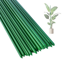 En mars, Supports de jardin en plastique extrudé pour tomates vertes et concombres, lot de 40 pièces, 11 mm x 180 cm
