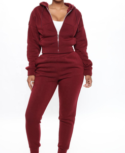 Ensemble de survêtement pour femme, deux pièces, sweat-shirt à capuche pour femme, jogging décontracté et ensembles de sweat-shirts à fermeture éclair, vêtements pour femme, deux pièces, 2026 - Product Image 3