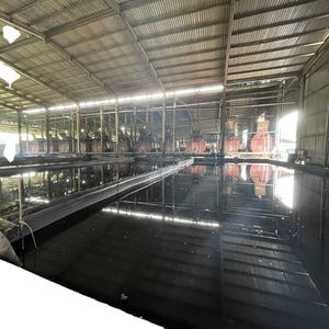 Bioenergy น้ำมันถั่วเม็ดมะม่วงหิมพานต์น้ำมันพืชสำหรับทำอาหาร - Product Image 6