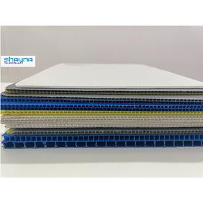 El mejor embalaje de PP corrugado para frutas y verduras: cajas de productos higiénicas y transpirables a un precio asequible - Product Image 6